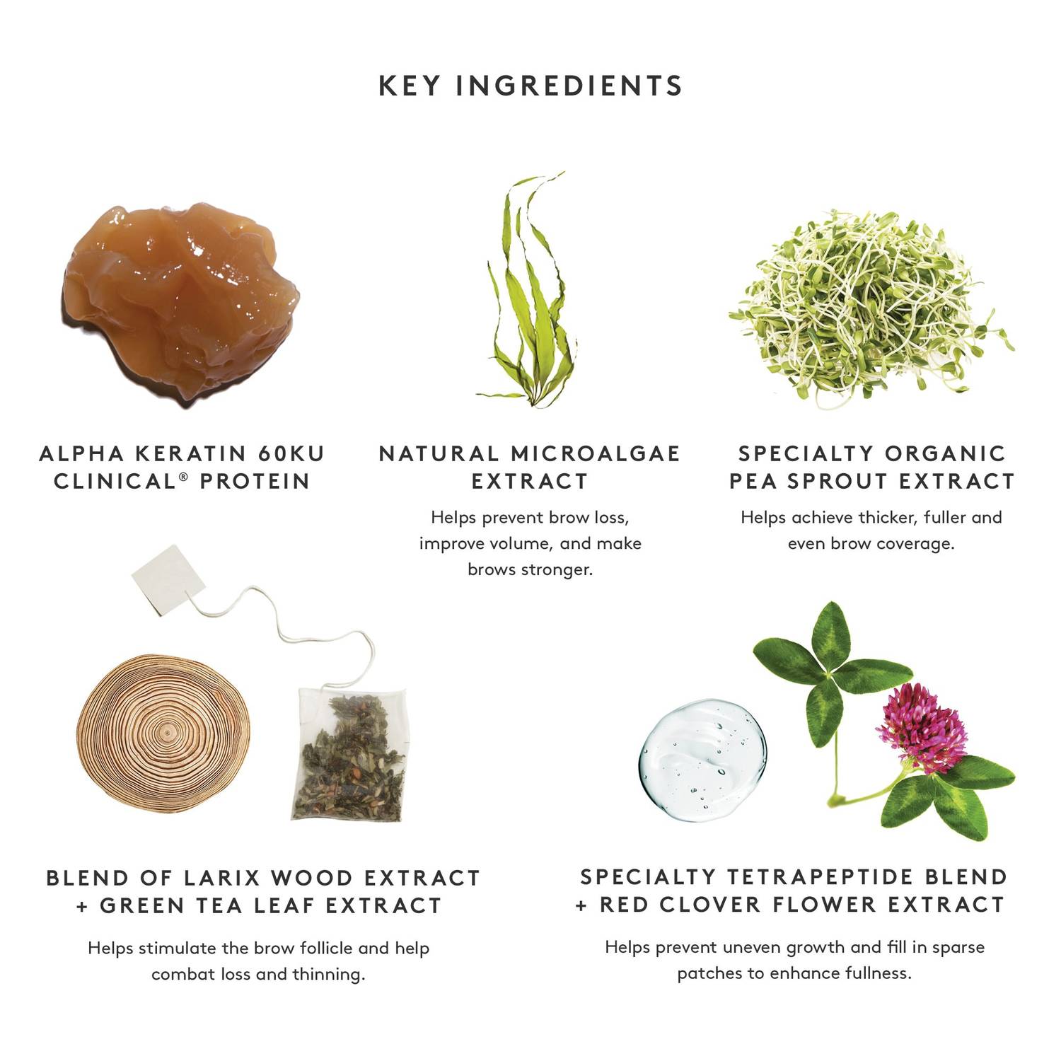 Brow serum key ingredients 