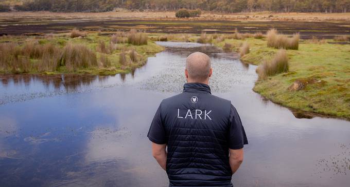 Single Cask Release - #LD2801