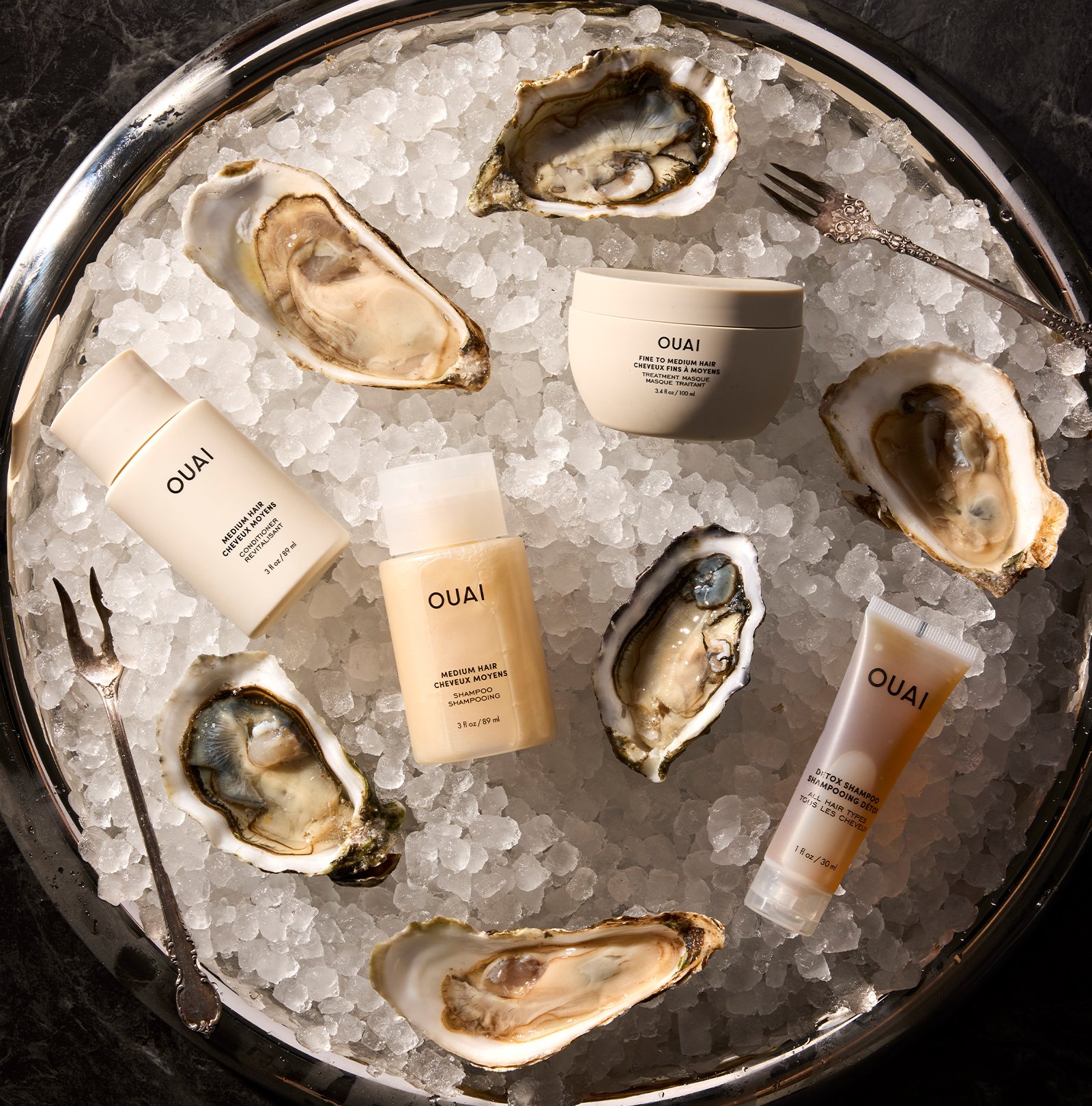 Fine Hair Travel Kit