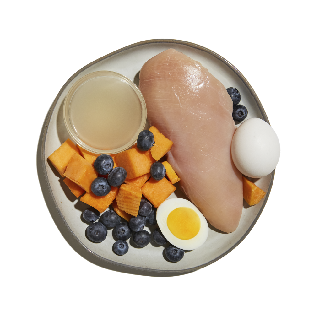 Chicken and top pumpkin cat food