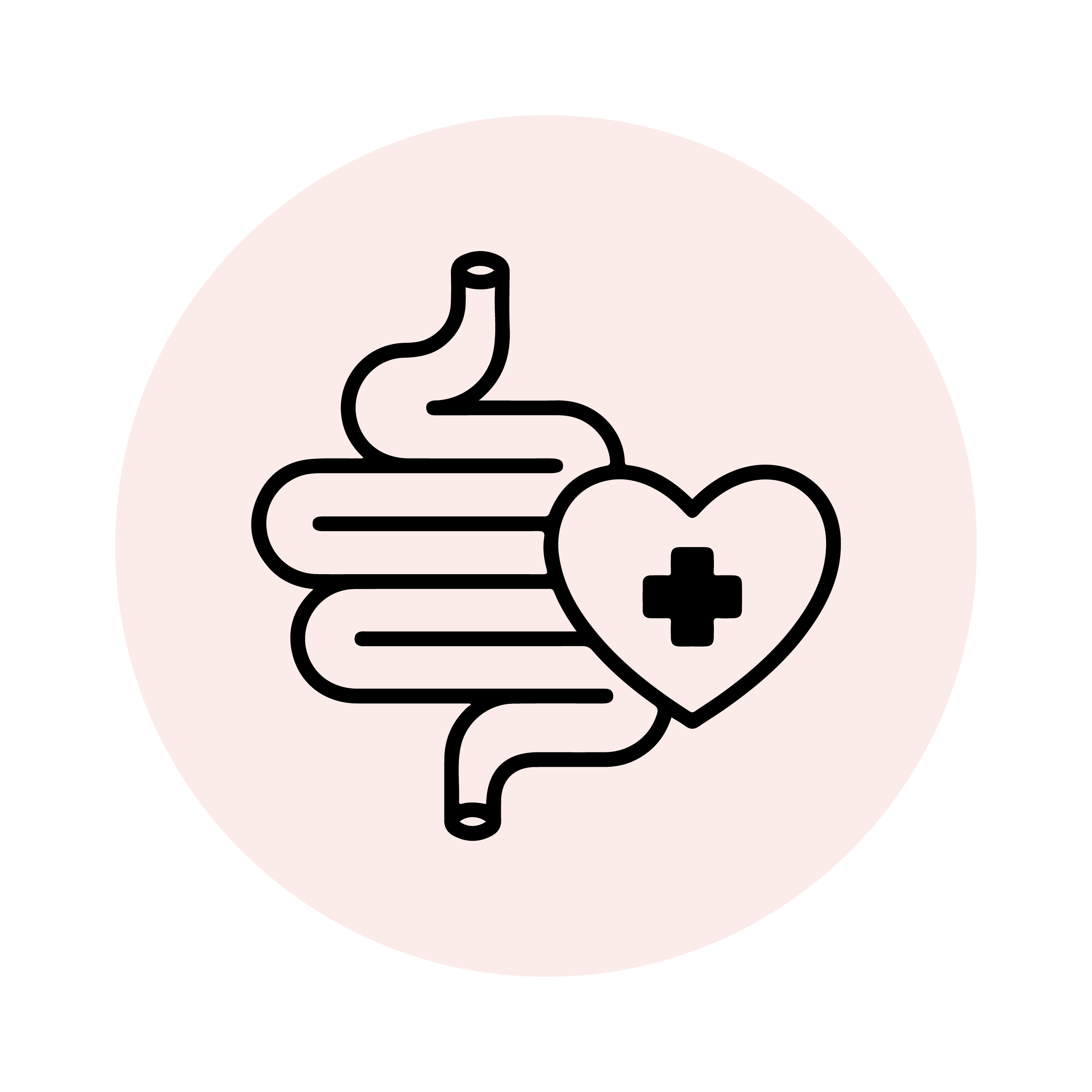 Supports Digestive Health