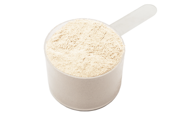 undenatured whey powder in a scoop