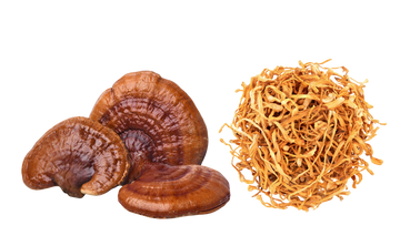 Reishi & Cordyceps Mushrooms