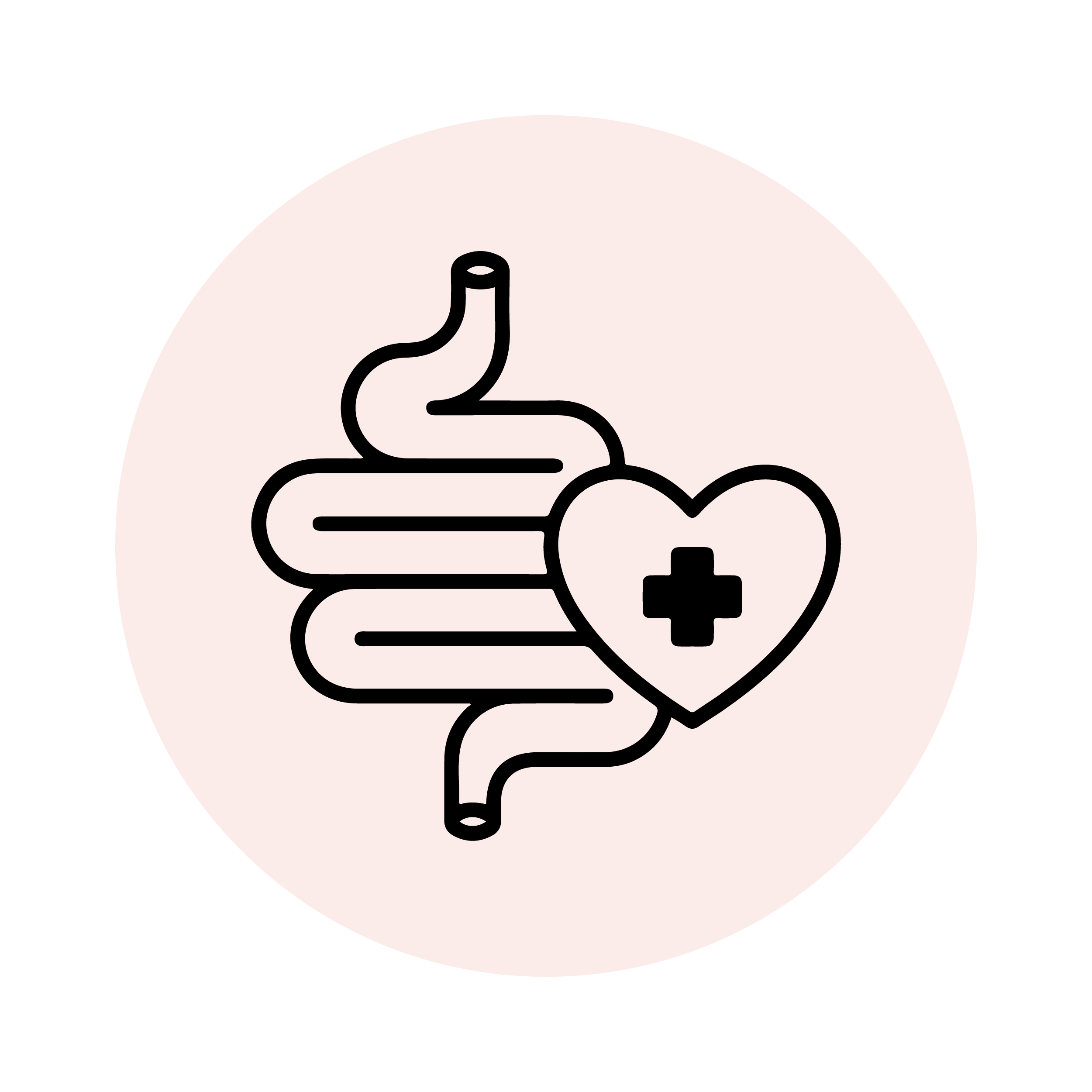 Enhances Bowel Regularity