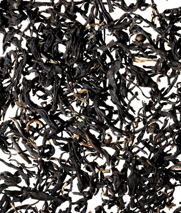 Morning Glory (12oz Can - 12 Pack)