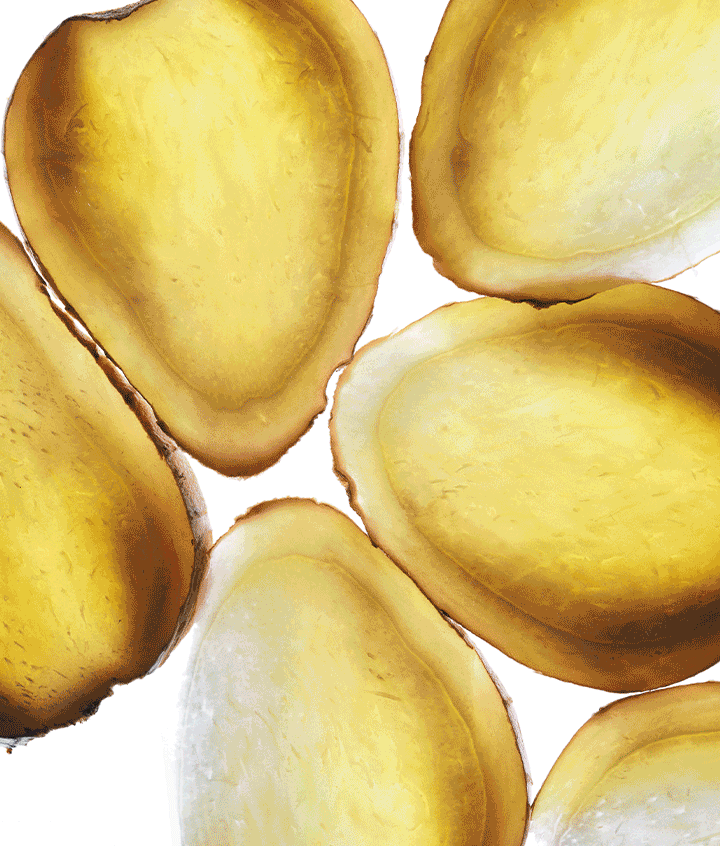 Ginger Boost (12oz Can - 12 Pack)