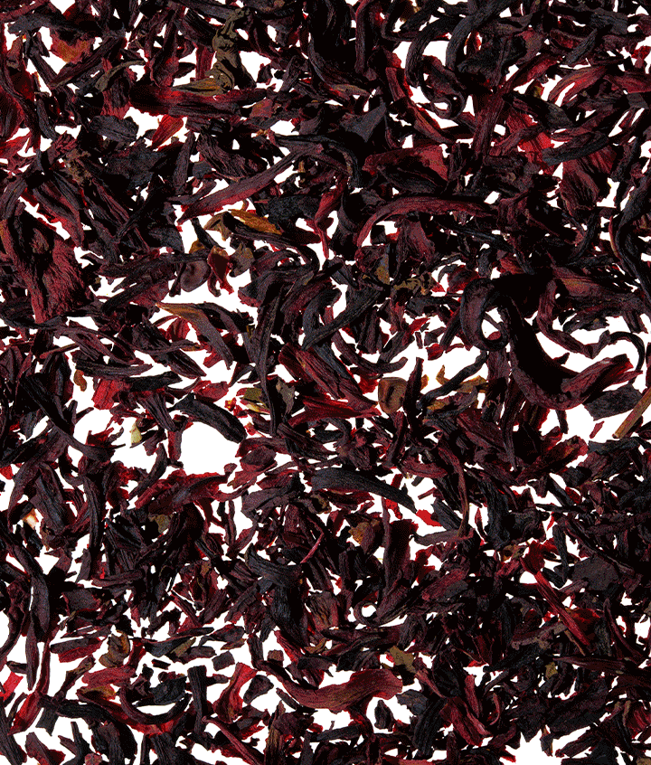 Hibiscus Healer (12oz Can - 12 Pack)