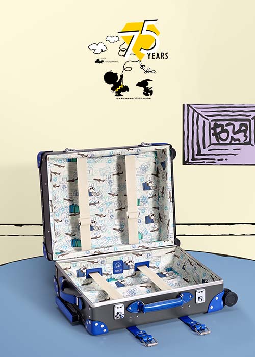 GT_PEANUTS_20CO_Hover-Card