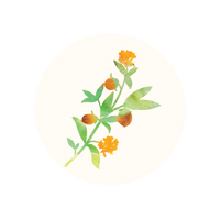 Argan Oil