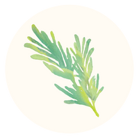 Rosemary Extract