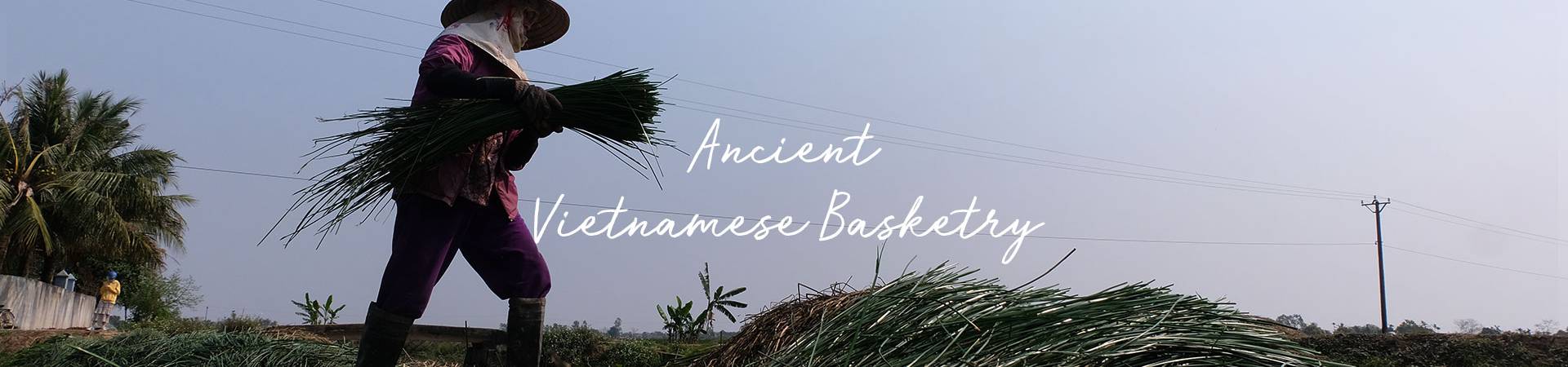 Nkuku_Art-of-Making_Header_Ancient-Vietnamese-Basketry.jpg