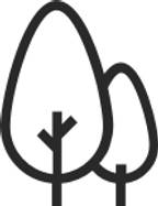 Cedar Icon