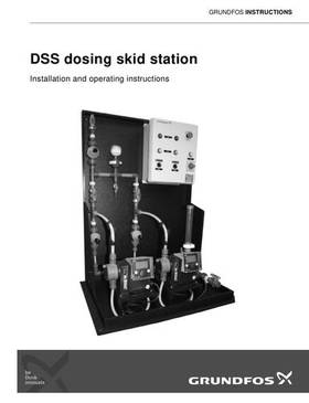 DSS dosing skid station (Installation and operating instructions) (Multi language)