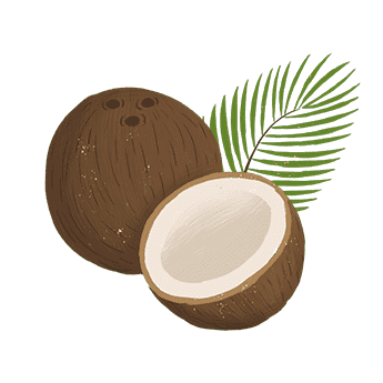 Coconut