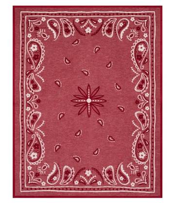 Vintage Red Bandana Blanket