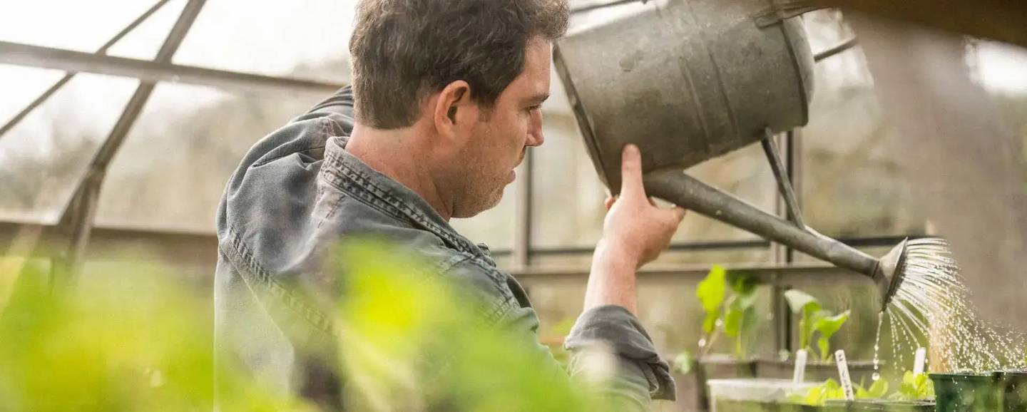 Greenhouse Brands Rhino Greenhouses Direct