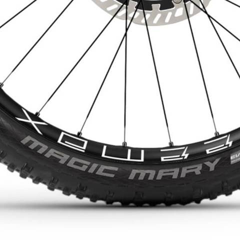 Haibike NDURO 8 Freeride 2024 Magic Mary Tyres