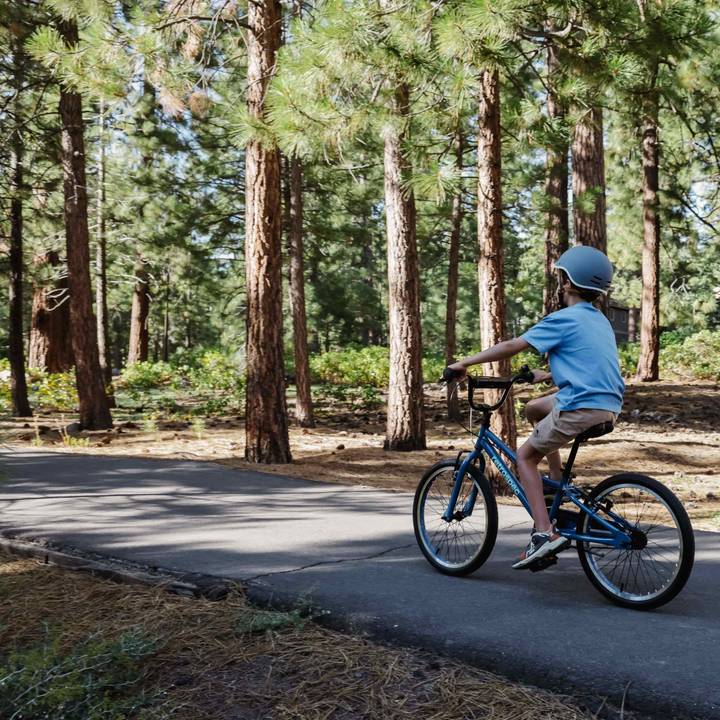 A child riding a blue Koda 20" Kids Bike through a lush green forest, surrounded by tall trees and dappled sunlight.