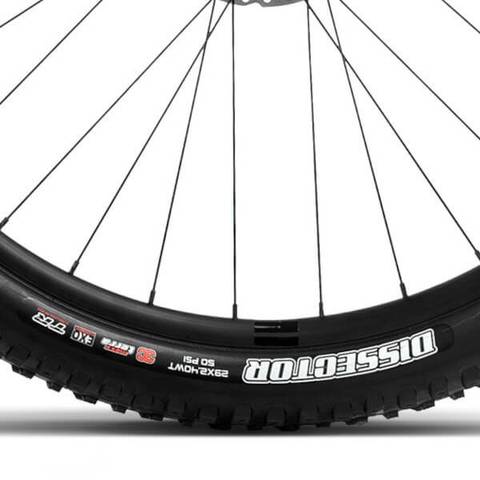 Orbea Rise H30 2024 Maxxis Dissector Tyres 