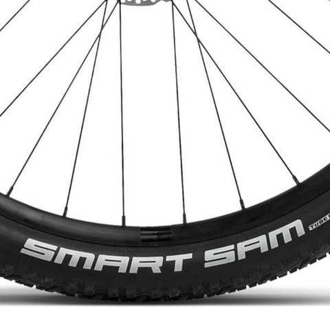 Orbea Urrun 40 2024 Schwalbe Smart Sam Performance Tyres 