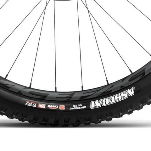 Orbea Wild H30 2024 Maxxis Assegai Tyres 