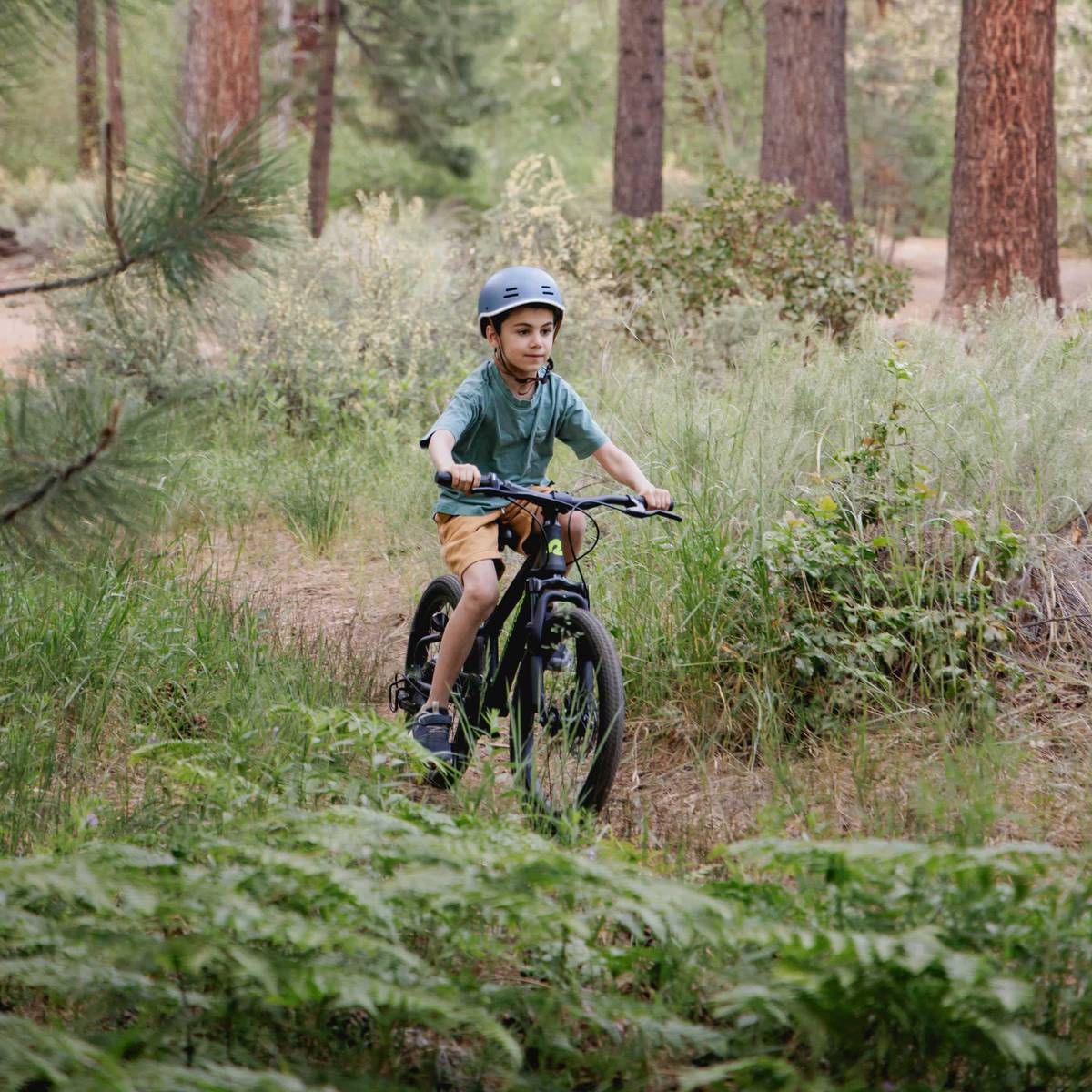 A child rides a Dart Plus 20" Kids Bike 7 Speed through a forest trail surrounded by tall green grass and trees, wearing a helmet and a green shirt.