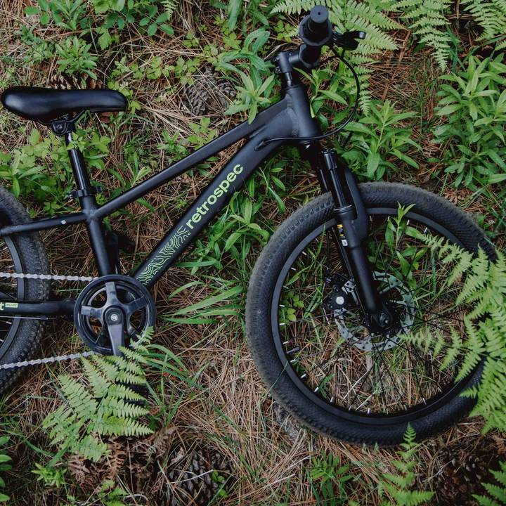 A black Dart Plus 20" Kids' Bike 7 Speed rests on a bed of green ferns and pine needles, surrounded by lush vegetation.