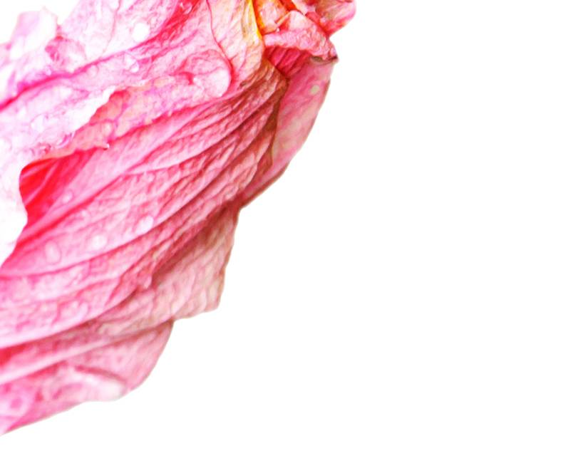 Abstract Energetic Formulation Image
