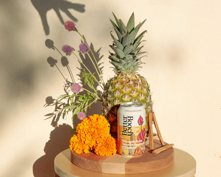 Pineapple Spice Tepache (12oz Can - 12 Pack)