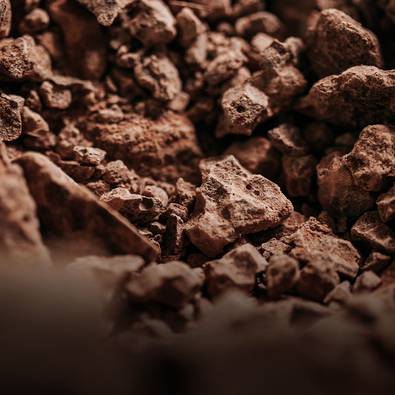 Buy Our Chocolate Tasting Guide