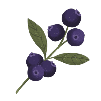 Berries