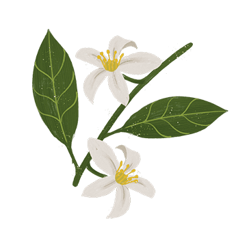 Floral