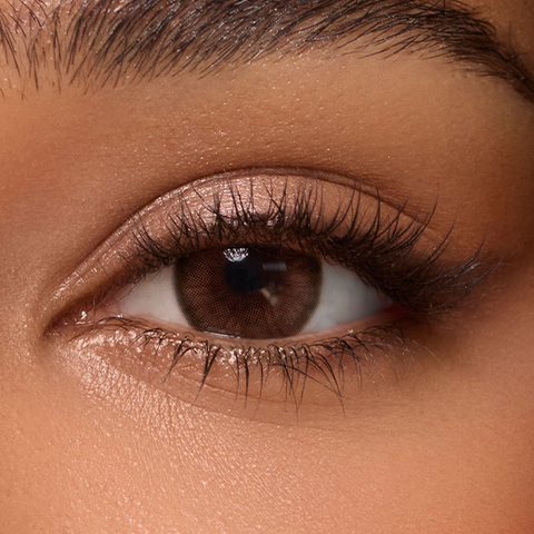 Twilight Brown (3-Month)