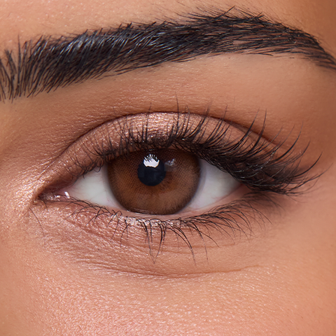 Celestial Brown (1-Day)