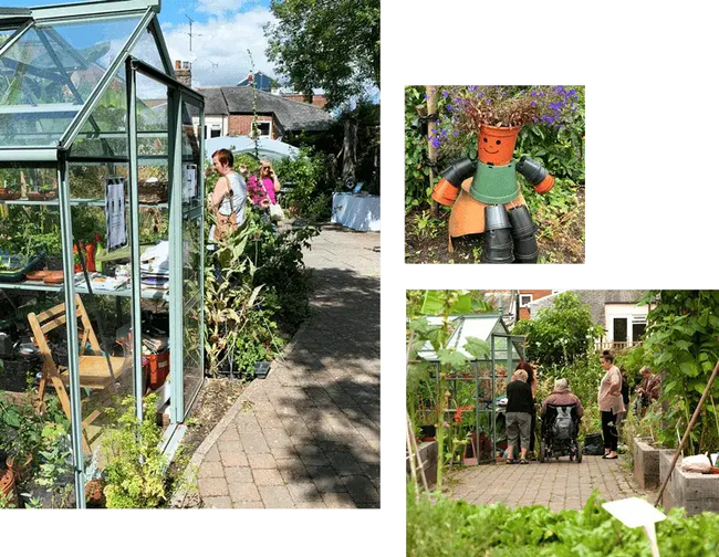 selection of photos from grapes hill