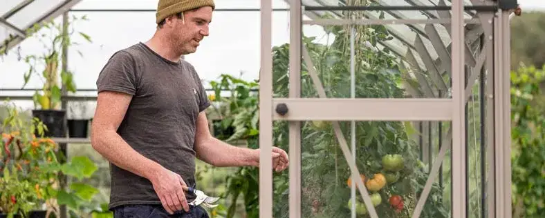 The Ultimate Guide To Greenhouses - What You Need To Know