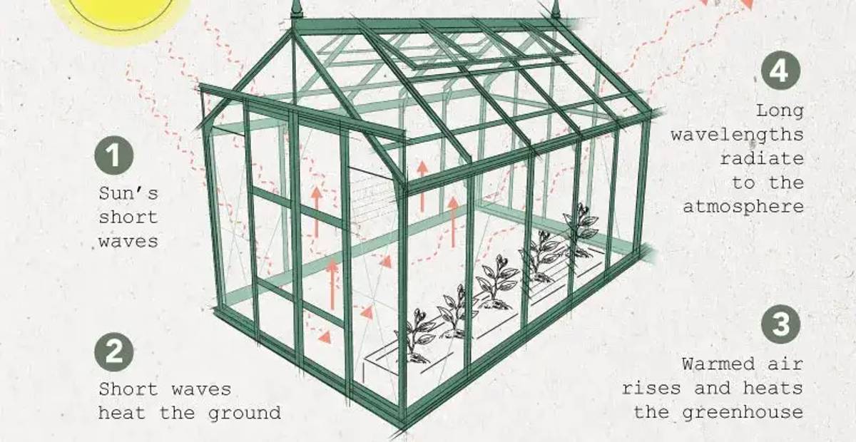 Greenhouses Direct - UK