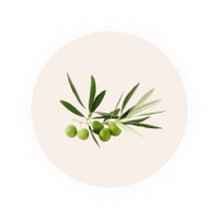 Olive Leaf Extract