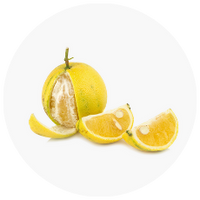 Bergamonte® citrus extract