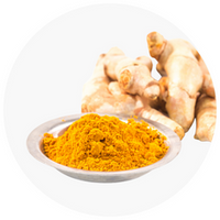 Turmeric Root Extract