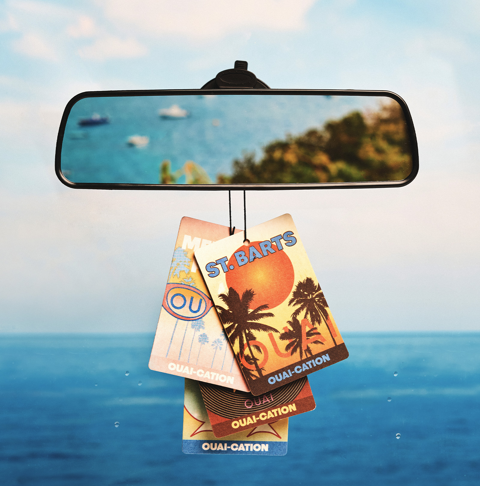OUAI-CATION Air Fresheners - 4 Pack