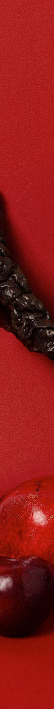 The Metabolism Reset