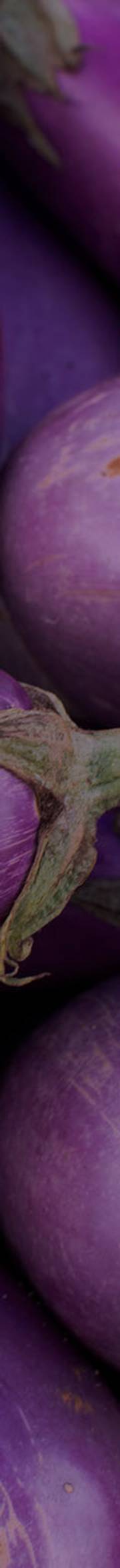 The Performance System