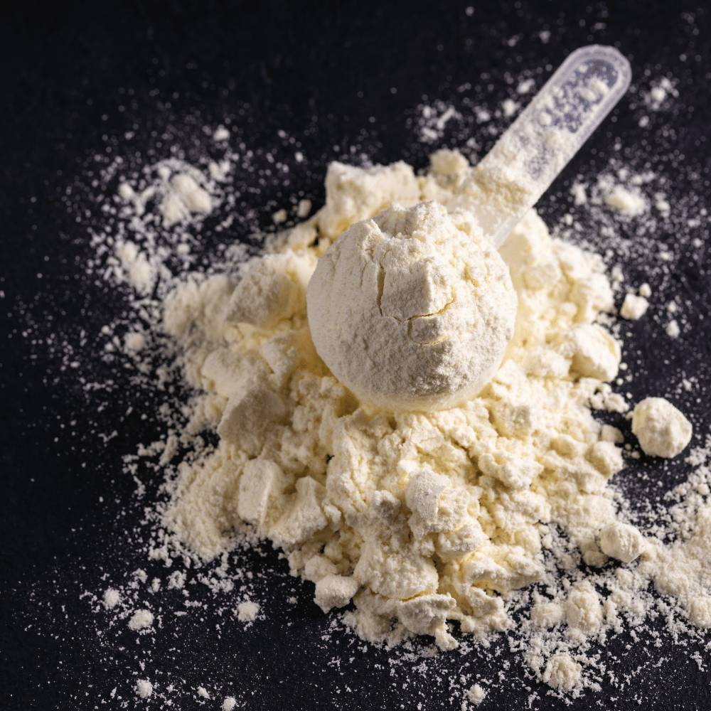 Whey protein powder with a scoop