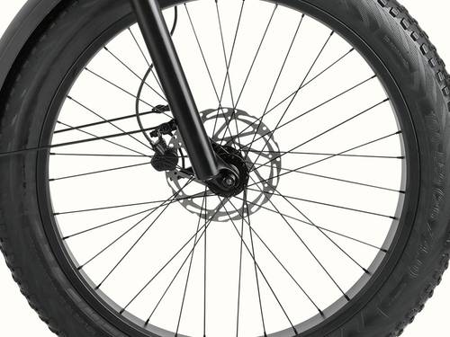 Close-up of a bicycle wheel featuring a disc brake and spokes against a white background.