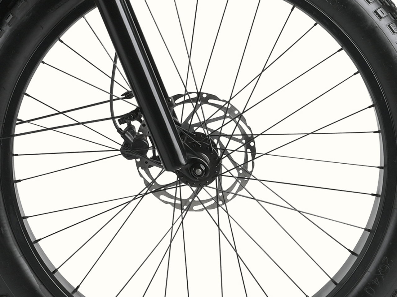 Close-up of a bicycle wheel featuring a disc brake, spokes, and part of the fork against a white background.
