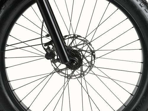 Close-up of a bicycle wheel featuring a disc brake, spokes, and part of the fork against a white background.