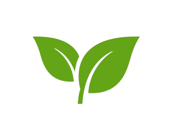 green leafs on transparent background