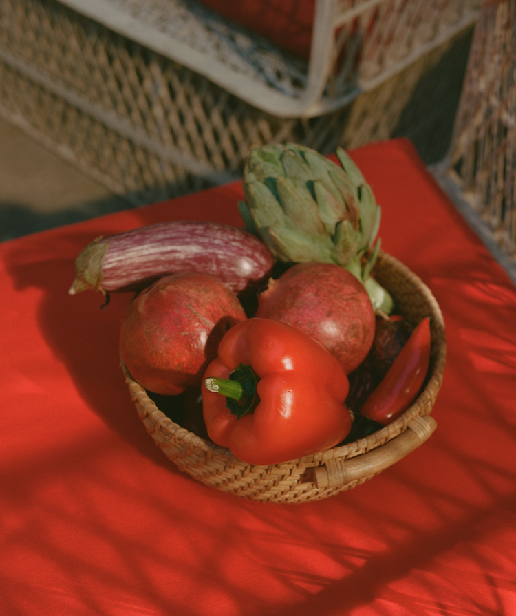 THE <br>  METABOLISM <br> RESET