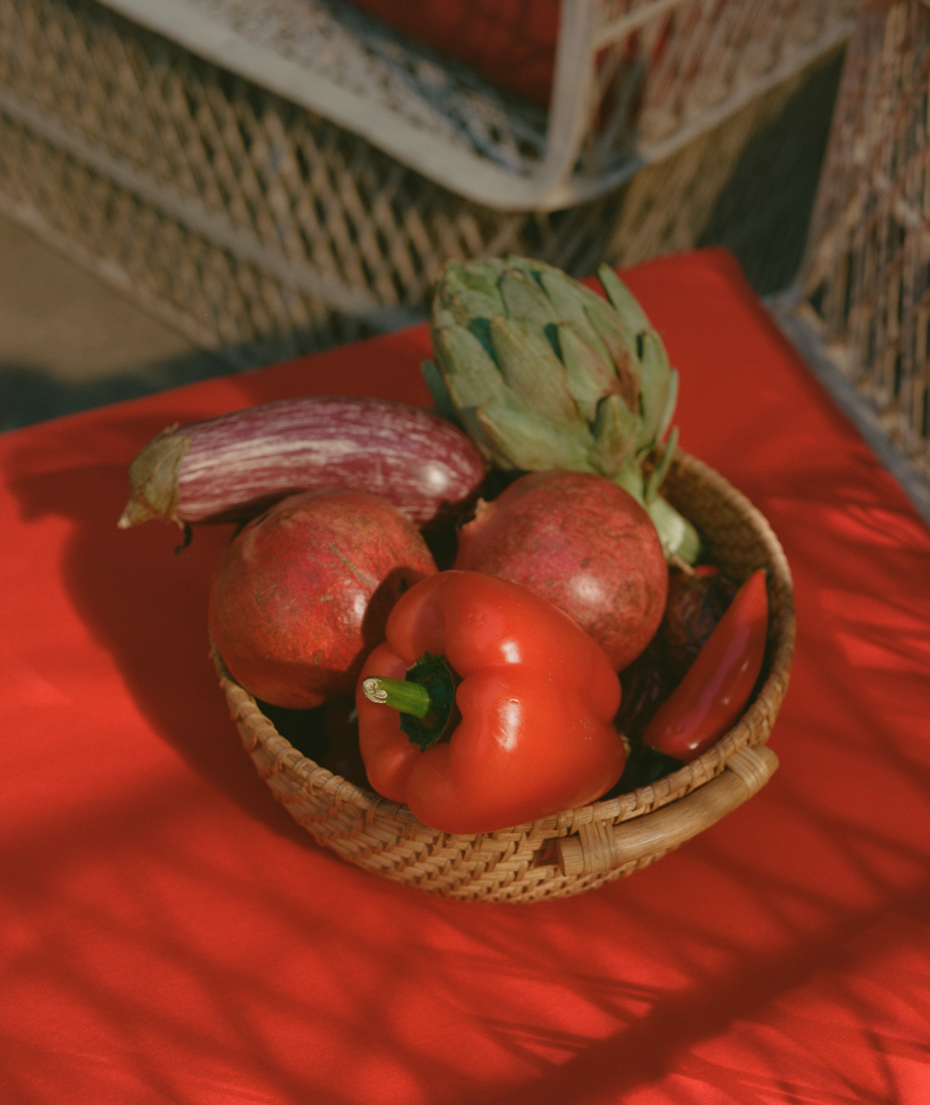 THE <br>  METABOLISM <br> RESET